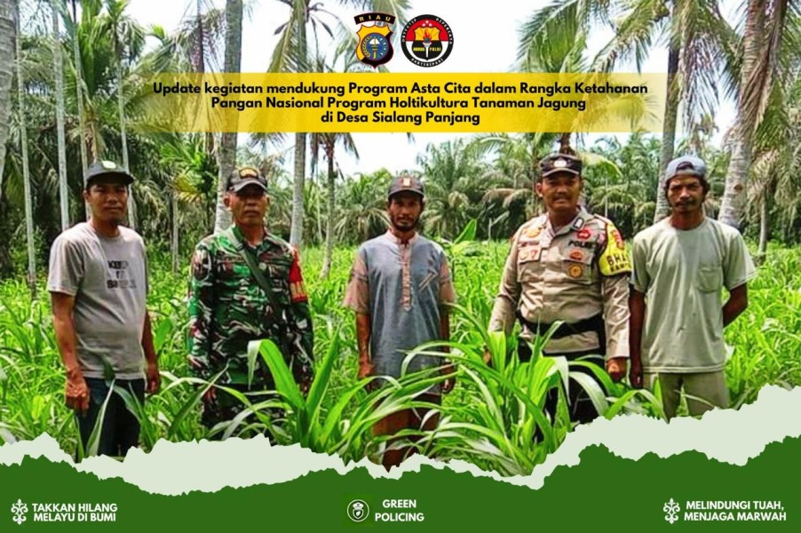 Jadi Sahabat Petani, Bhabinkamtibmas Polsek Tembilahan Hulu Turun Langsung ke Ladang Cek Tanaman Jagung