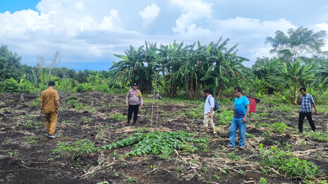 Bhabinkamtibmas Air Tawar Tinjau Lahan Jagung, Siap Dukung Program Ketahanan Pangan
