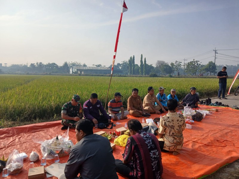 Serka Sulis Hadiri Tasyakuran Wiwit Jelang Panen Padi di Desa Betek