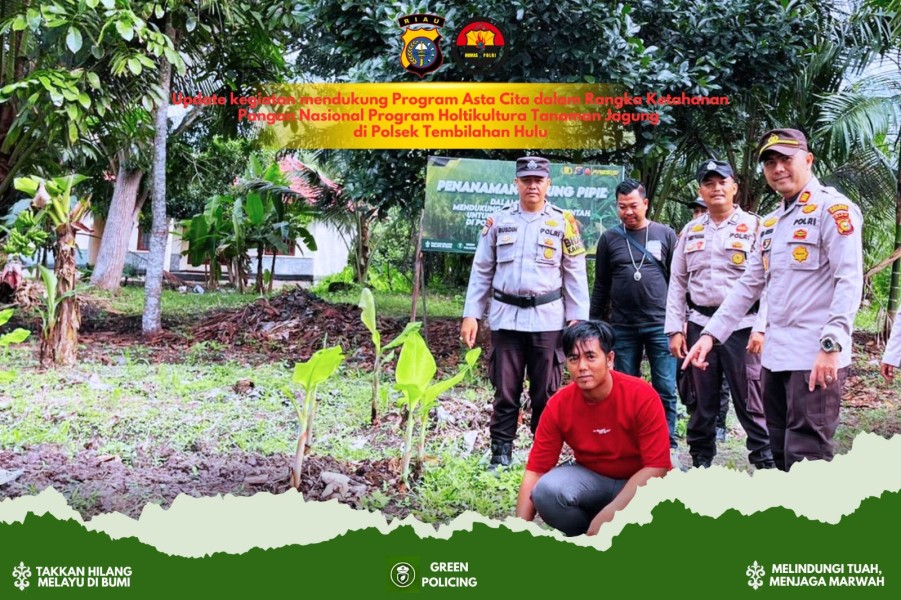 Dukung Asta Cita, Polsek Tembilahan Hulu Update Progres Tanaman Jagung di Pekarangan Mapolsek