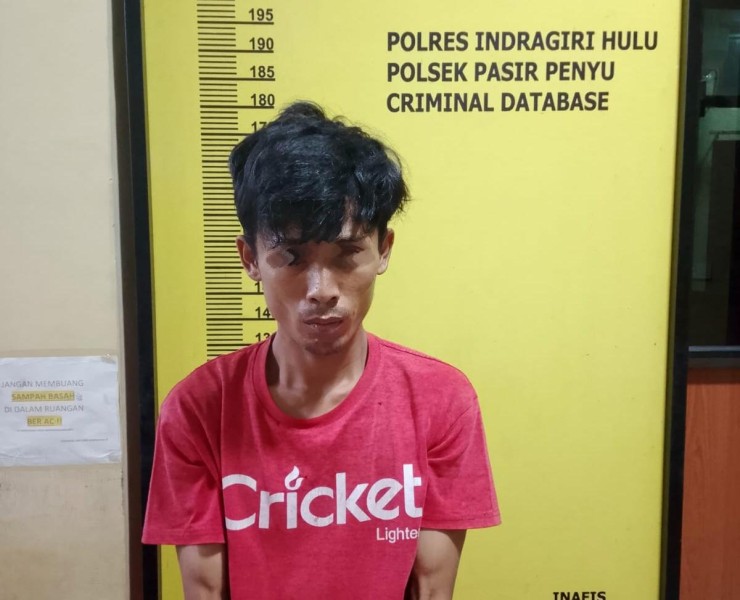Pria di Air Molek II Ditangkap Polsek Pasir Penyu, Simpan Sabu 1,26 Gram