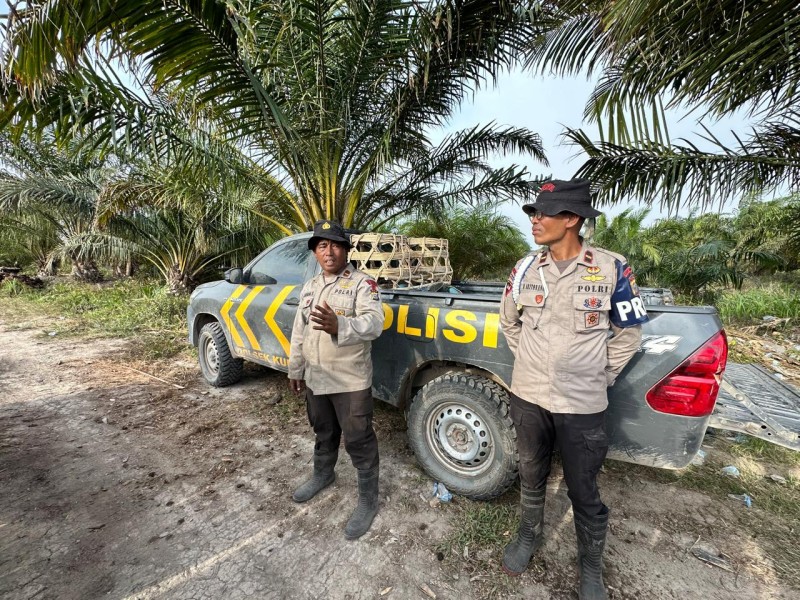Personel Brimob Polda Riau Gugur dalam Tugas Usai 3 Pekan Bertarung Padamkan Karhutla di Rokan Hilir