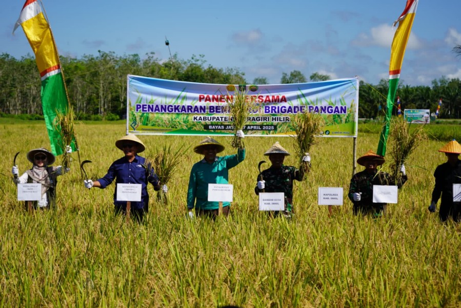 Wujudkan Swasembada Pangan, Pj Sekda Ikuti Panen Raya dan Tanam Padi Serentak di Bayas Jaya