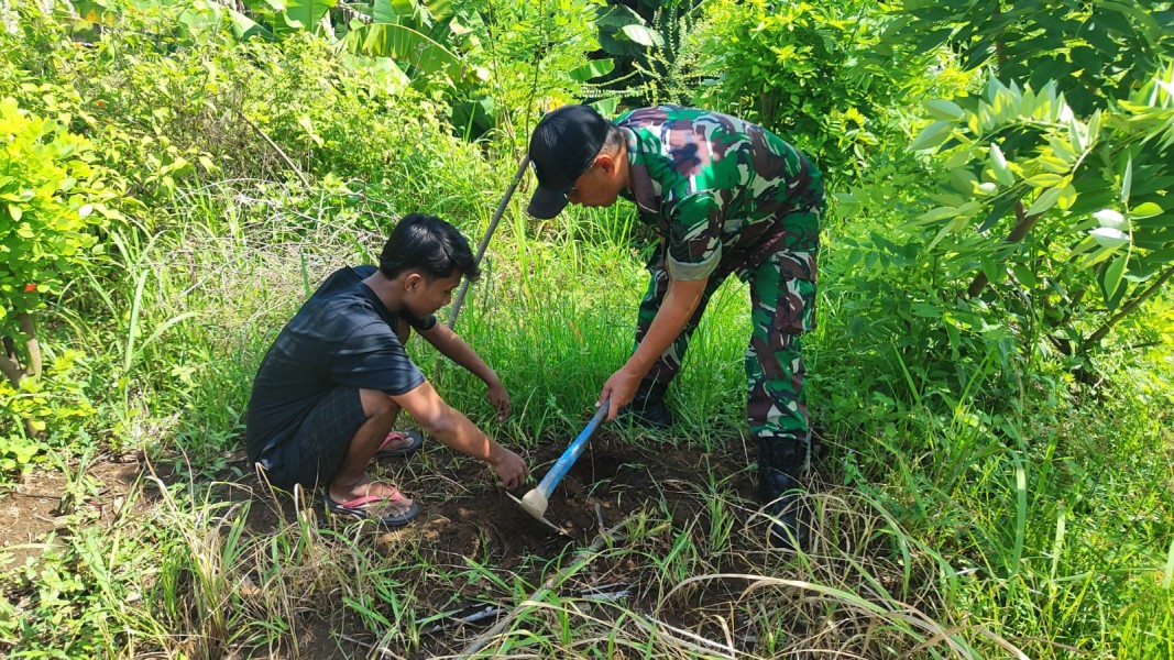 TMMD ke-129 Tanam 200 Pohon, Hadirkan Lingkungan Asri dan Warisan Hijau bagi Masyarakat