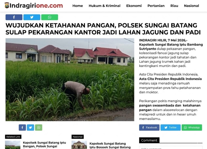 Wujudkan Ketahanan Pangan, Polsek Sungai Batang Sulap Pekarangan Kantor Jadi Lahan Jagung dan Padi