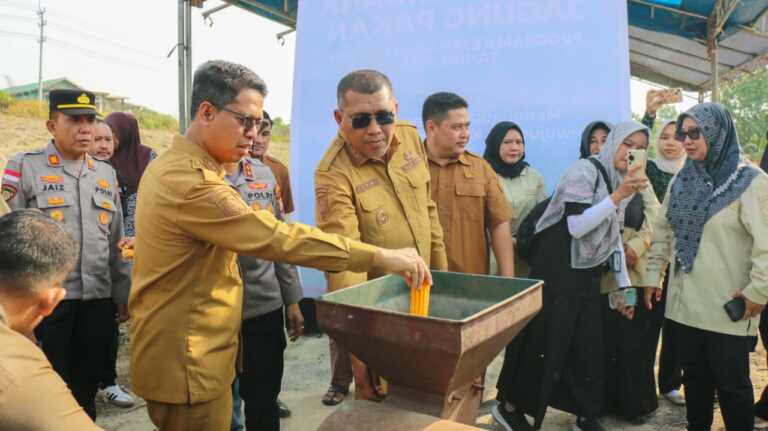Perkuat Ketahanan Pangan, Bupati Iskandarsyah Dan Di Dampingi Wakil Bupati Rocky Marciano Bawole Pimpin Panen Perdana Jagung Pakan Di Pangkep Barat