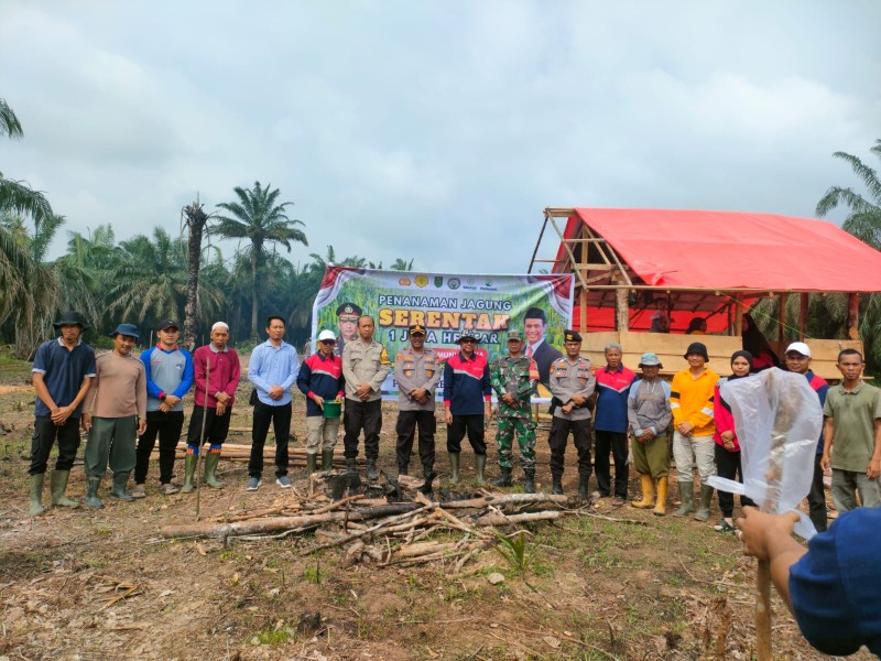 Di Kemuning Tua, Kompol Tarigan Tanam Jagung
