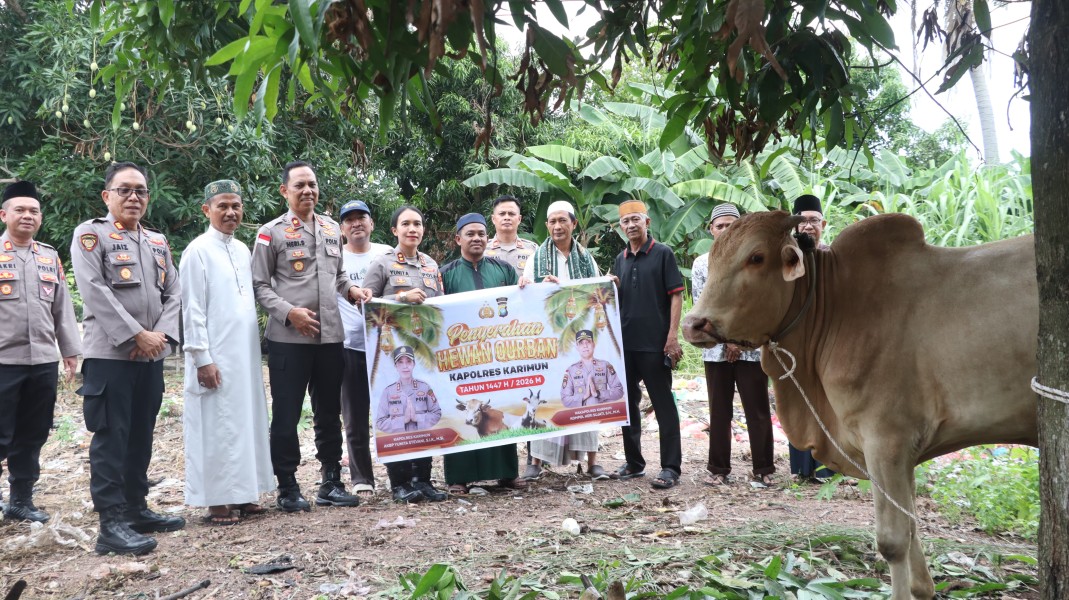 Sambut Hari Raya Idul Adha, Polres Karimun Serahkan Hewan Qurban Polda Kepri Dan Polres Karimun Ke Masyarakat.