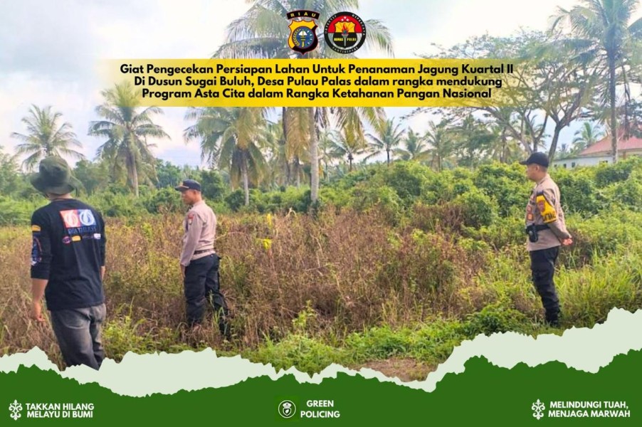 Lahan Pemda di Tembilahan Hulu Akan Ditanami Jagung, Dukung Ketahanan Pangan