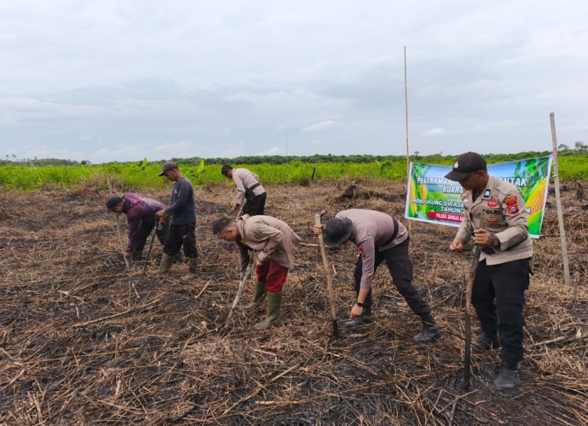 Polsek Sungai Batang Tanam Jagung Kuartal II Dukung Program Ketahanan Pangan Nasional