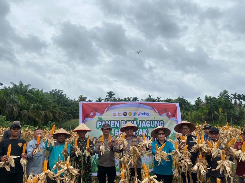 Polres Indragiri Hilir Gelar Zoom Meeting dan Panen Raya Jagung Kuartal I 2026 Dukung Swasembada Pangan