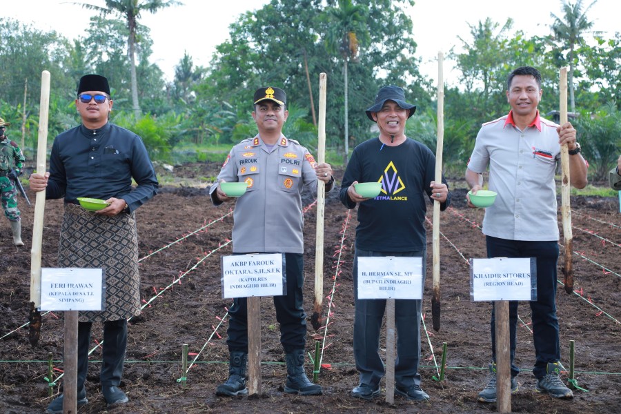 Bersama Bupati, Kapolres Inhil Tanam Jagung di Lahan THIP Estate Sengkawang Desa Tajung Simpang