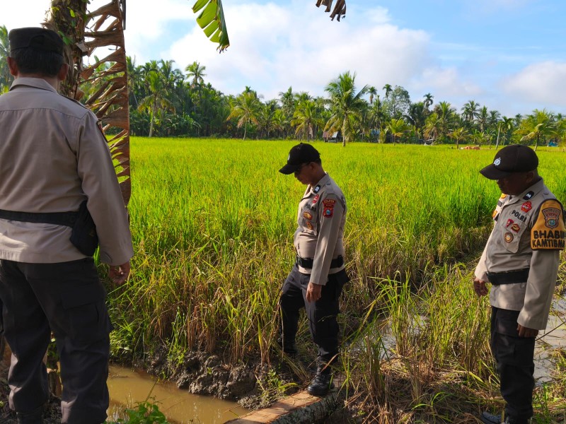 Polsek Sungai Batang Cek Irigasi Persawahan, Pastikan Air Cukup untuk Ketahanan Pangan Padi
