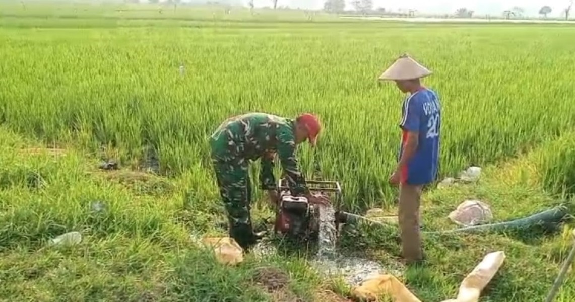 Sertu Syamsul Bersama Kelompok Tani Cek Pompanisasi