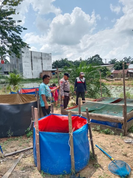 Dukung Ketahanan Pangan Nasional, Bhabinkamtibmas Desa Keritang Tinjau Budidaya Lele Program P2B