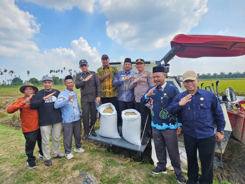 Dukung Swasembada Pangan, Bupati Inhu Panen Raya dan Serahkan Alsintan di Kuala Cenaku