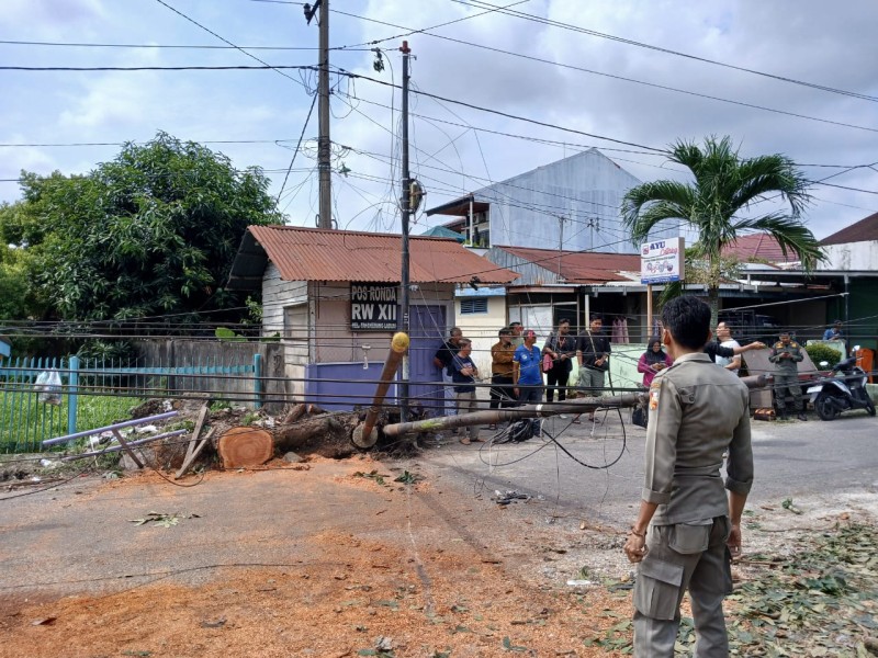 Tiang Fiber Optik Tumbang di Jalan Rindang, Pemko Pekanbaru Tegur Operator Telekomunikasi