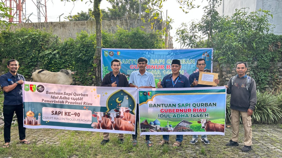 Gubernur Riau Abdul Wahid Salurkan 131 Ekor Sapi Qurban