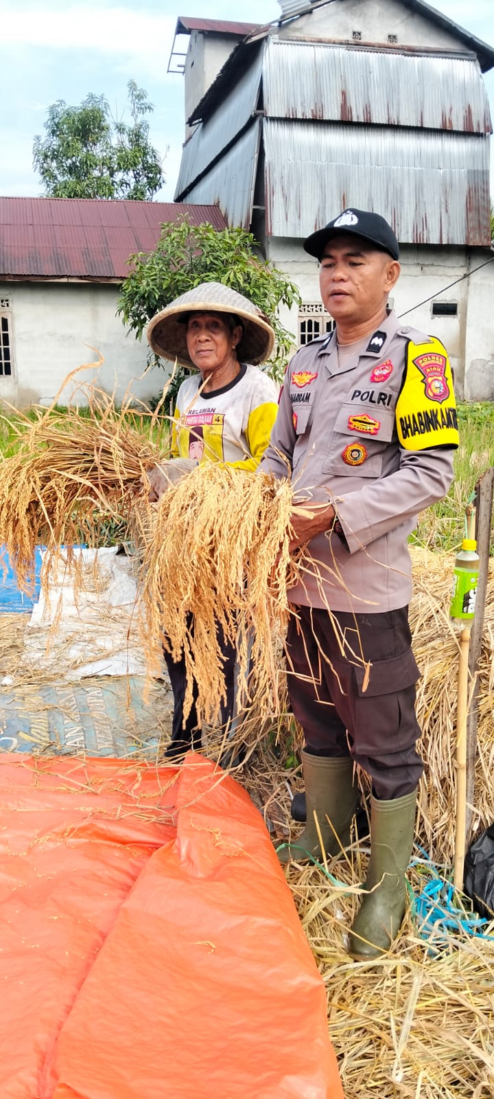 Panen Padi di Kelurahan Madani, Polsek Reteh Dukung Asta Cita Swasembada Pangan Nasional