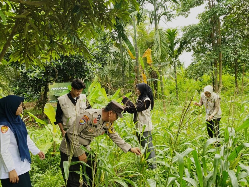 Polsek Tembilahan Hulu Tinjau dan Bersihkan Lahan Jagung Ketahanan Pangan di Pulau Palas