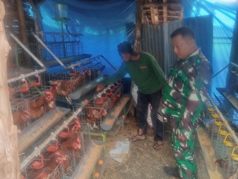 Serda Yuli Rianto Komsos dengan Peternak Ayam