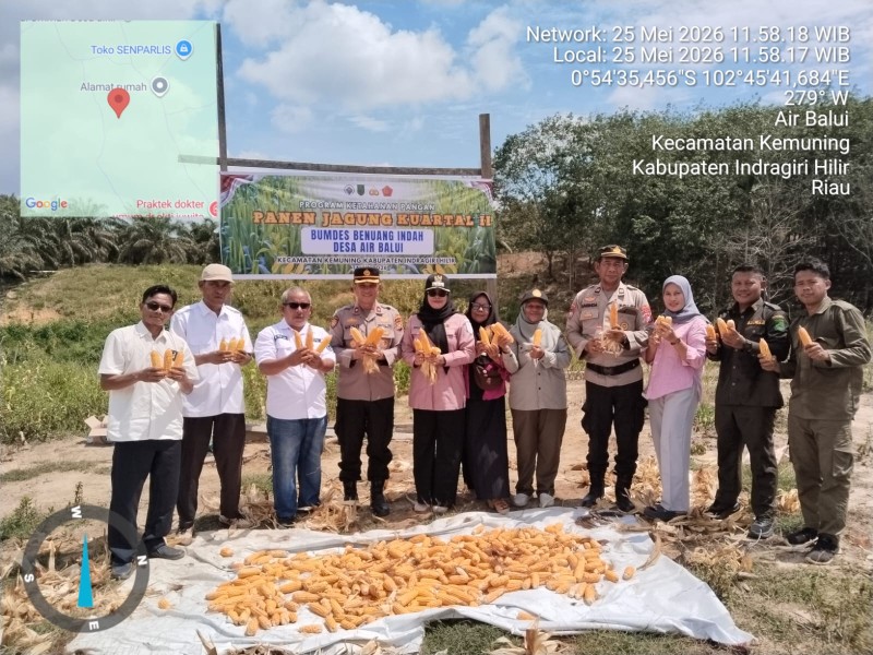 Panen Jagung di Air Balui, Polsek Kemuning Dukung Ketahanan Pangan Program Asta Cita Presiden RI