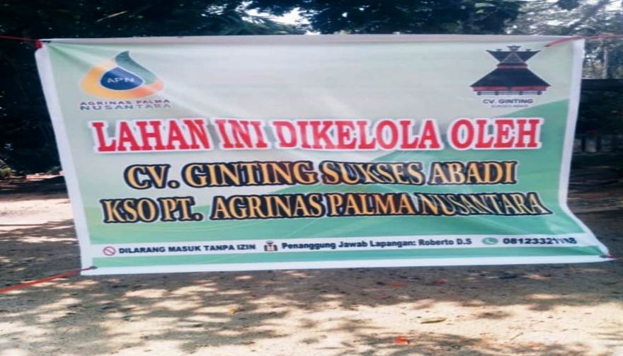 Warga Desa Kota Lama Rohul Resah, Sekelompok Orang Atasnamakan KSO PT Agrinas Tiba-tiba Panen Sawit Warga