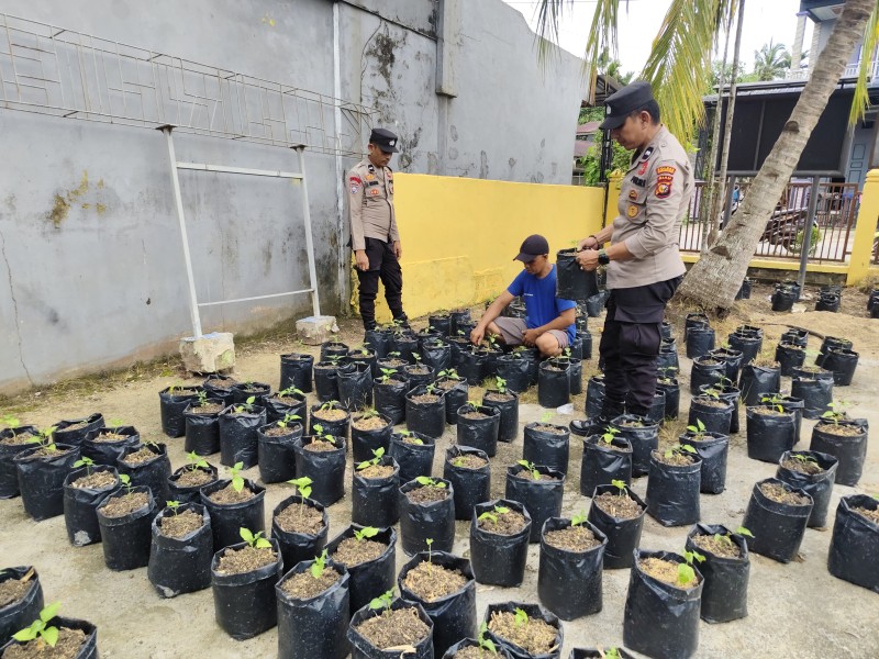 Polsek Tempuling Dukung Program Swasembada Ketahanan Pangan Polda Riau Melalui Pengecekan Pembibitan Cabe