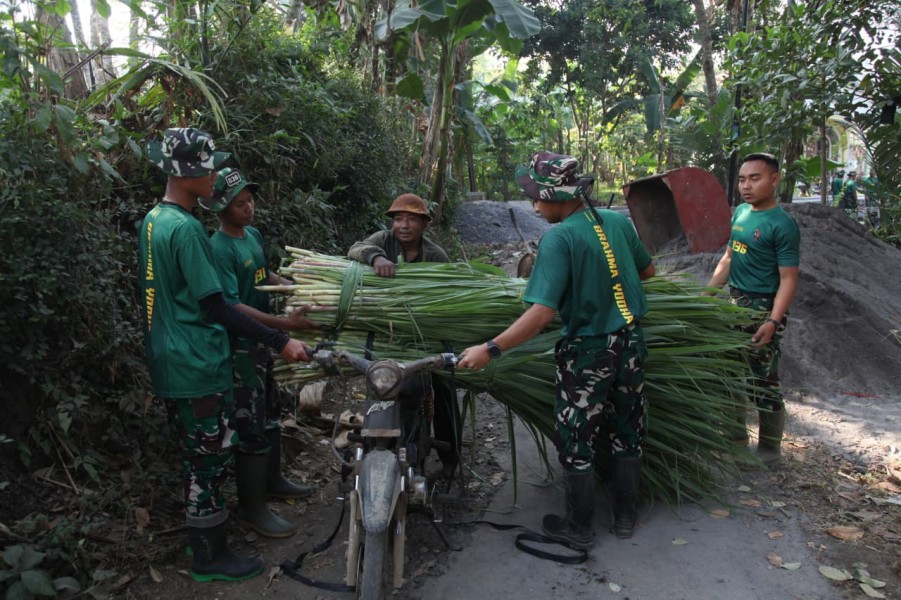 Prajurit Satgas TMMD ke-129 Bantu Warga Angkut Rumput Pakan Ternak, Wujud Nyata Kemanunggalan TNI dengan Rakyat