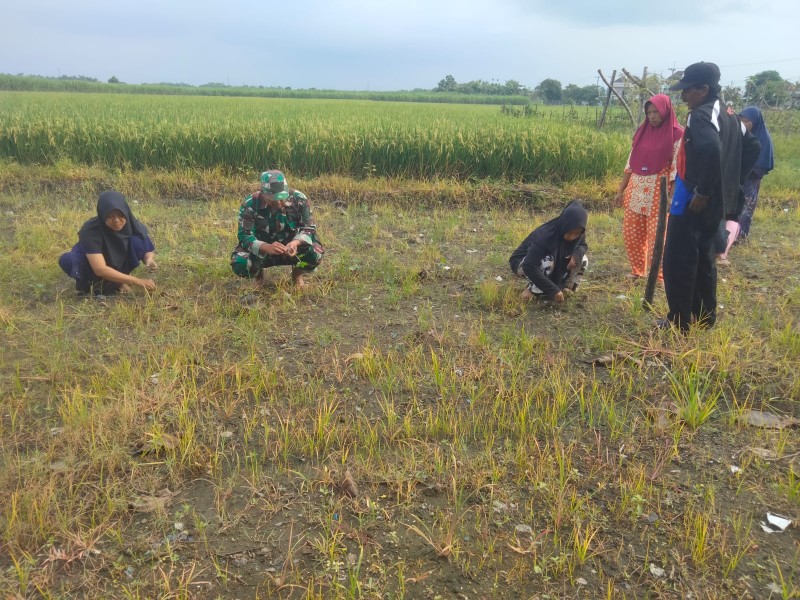 Serka Suyanto Dukung Program P2L di Desa Keras