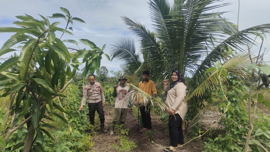 Bhabinkamtibmas Harapan Jaya Aktif Dampingi Warga, Dukung Swasembada Ketahanan Pangan di Tempuling