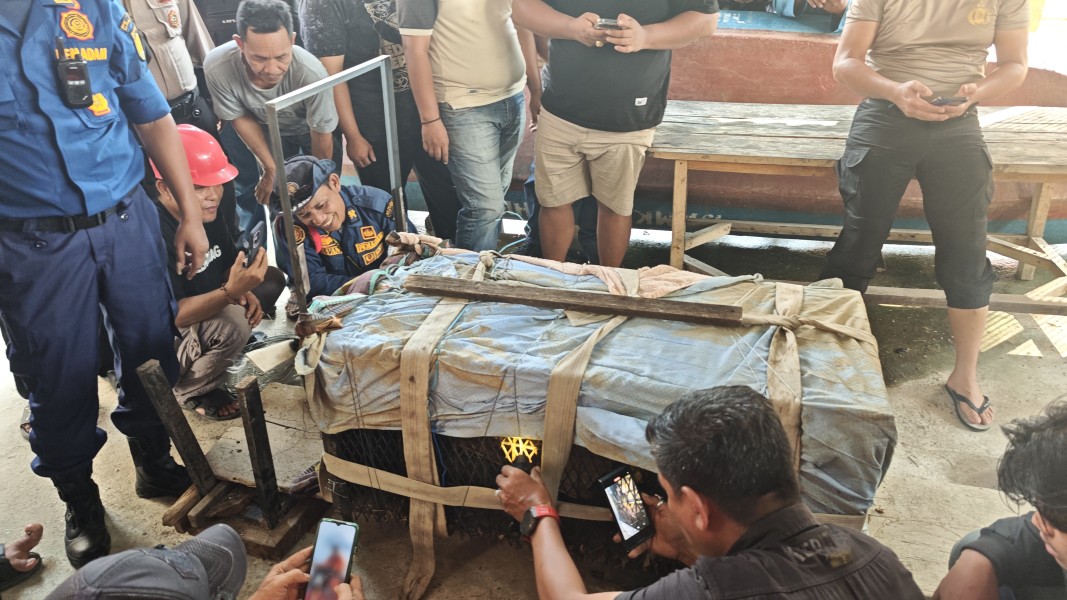 Monyet yang Meresahkan Warga Tembilahan Berhasil Dijebak, BBKSDA Lakukan Identifikasi