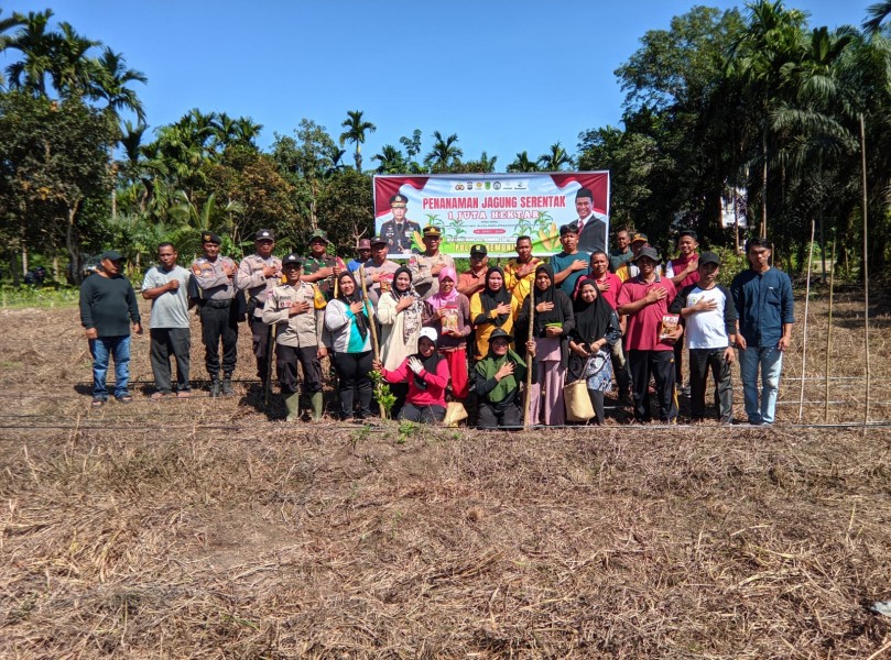 Dukung Ketahanan Pangan, Polsek Kemuning dan Pemdes Limau Manis Tanam Jagung