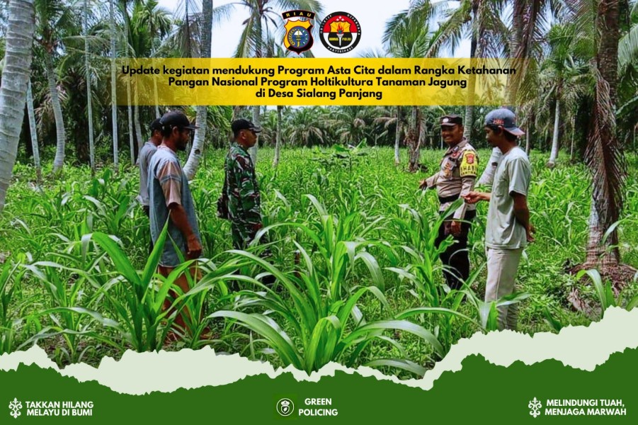 AKP Anra: Jangan Biarkan Petani Jagung Bekerja Sendiri, Kami Dampingi Hingga Panen