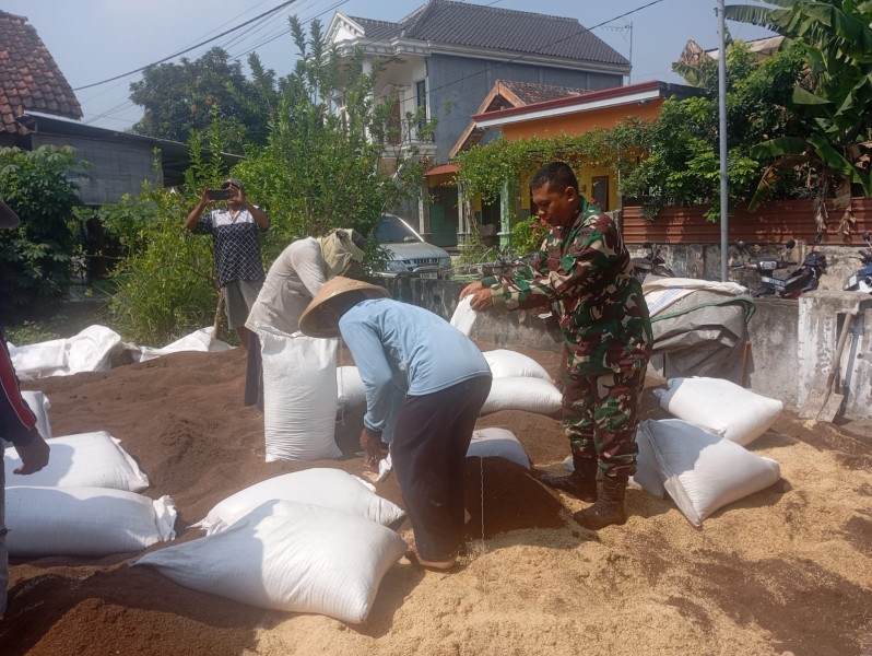 Serda Pipit Bersama PPL Desa Brambang Gelar Uji Coba Pembuatan Pupuk Organik