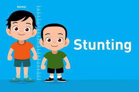 DP2KBP3A Inhil Turunkan Jumlah Stunting di seribu parit