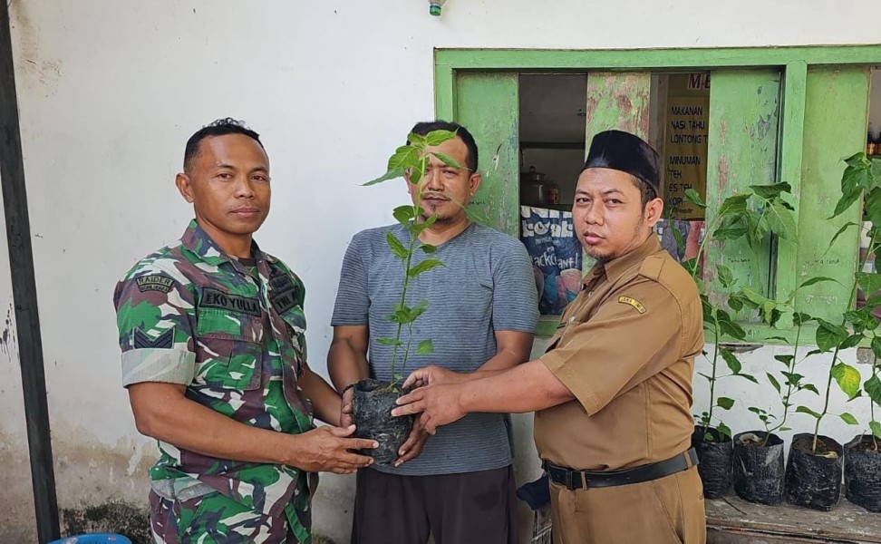 Babinsa Serka Eko Dampingi Penyerahan Bibit Pertanian di Desa Kepatihan