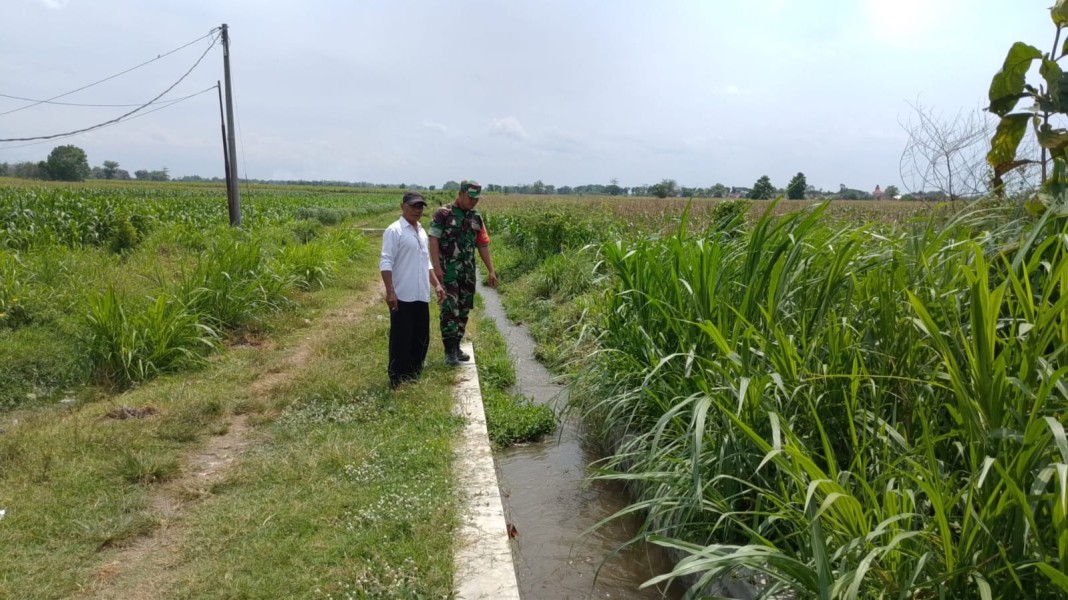Dorong Produktivitas Pertanian, Serti Imadudin Dampingi Petani Kayangan