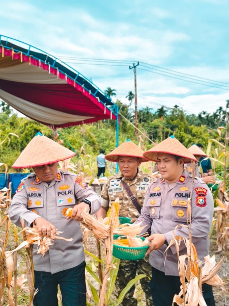 Kapolres Inhil Hadiri Panen Raya Jagung Serentak, Wujud Nyata Dukungan Ketahanan Pangan Nasional