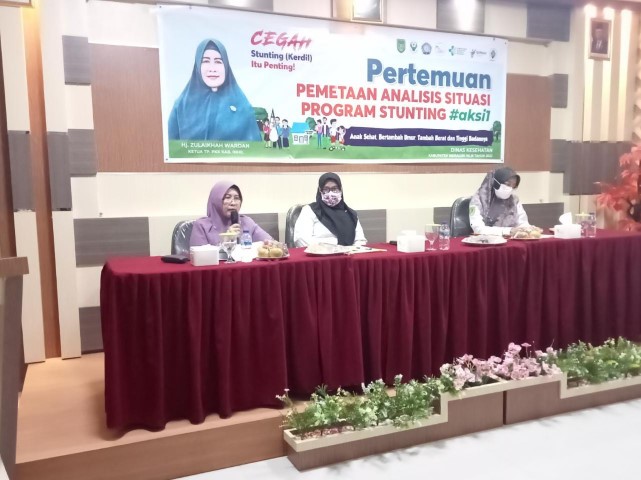 Dinkes Inhil Gelar Sosialisasi Stunting diikuti oleh 30 Puskesmas