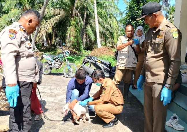 DTPHP Inhil dan PKH Riau Laksanakan VAR Massal di Kecamatan Kempas