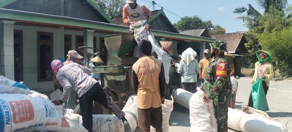 Koptu Devy Bantu Giling Jagung Milik Petani Desa Marmoyo