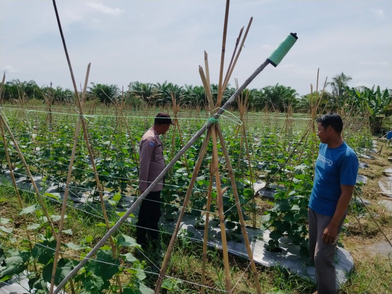 Polsek Kuala Cenaku Bergerak Cepat Cegah Alih Fungsi Lahan, Kawal Ketahanan Pangan Kuala Mulia