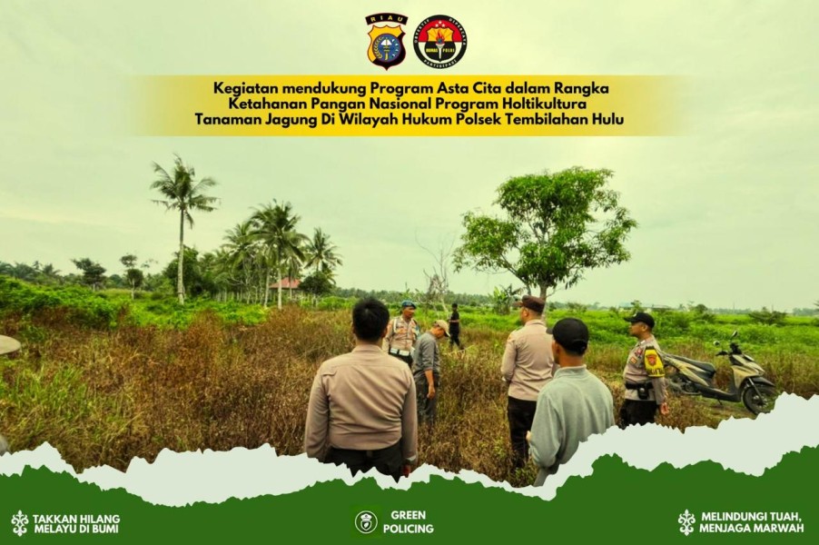 Polsek Tembilahan Hulu: Jagung Dapat Ditanam dengan Sistem Tumpang Sari