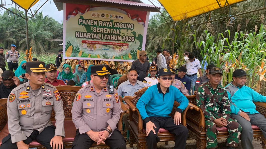 Panen Raya Jagung Serentak Dukung Swasembada Pangan Inhil 2026