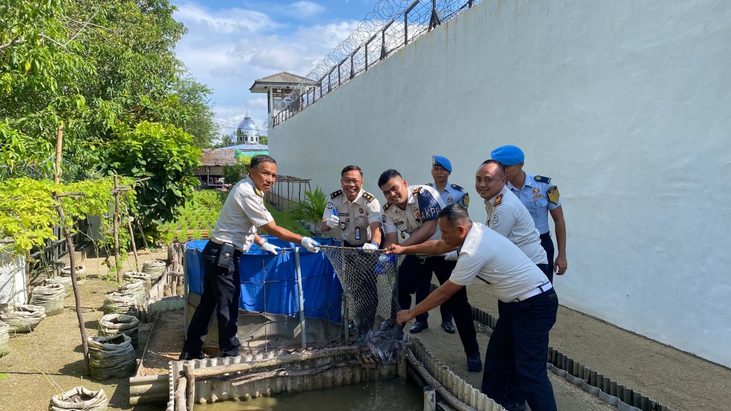 Dukung Program Ketahanan Pangan Nasional, Rutan Karimun Sukses Panen Lele 65 Kg.