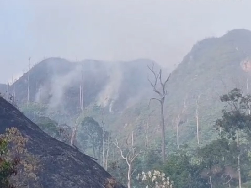 Dua Regu BPBD Inhil Dikerahkan Padamkan Api di Bukit Condong