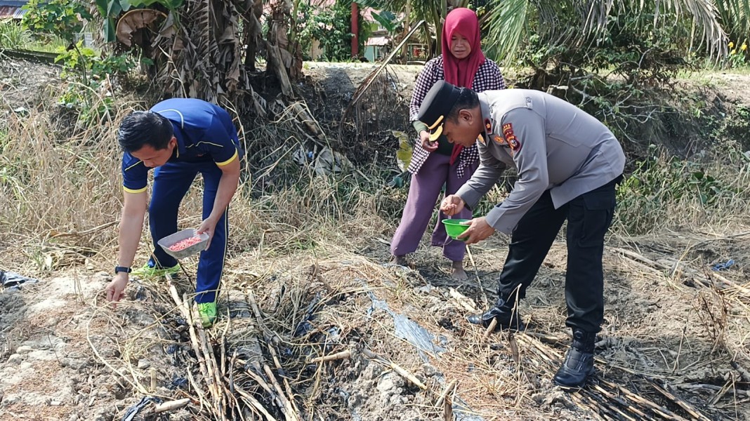 Polres Inhu Tanam Ulang Jagung Pipil 1,5 Hektare di Rengat Barat Usai Banjir