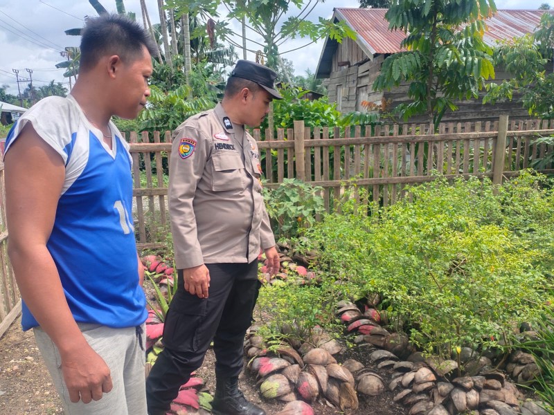 Sinergi Polsek Keritang dan Petani  di Lintas Utara, Kokohkan Ketahanan Pangan Desa