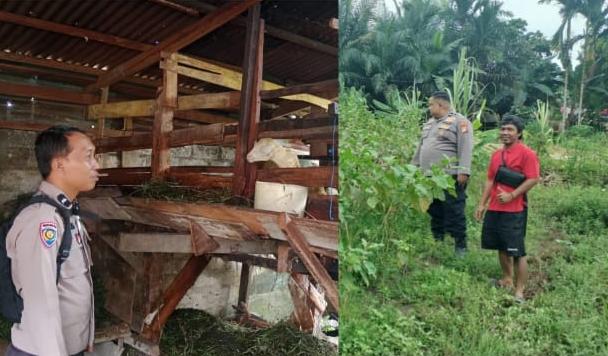 Polisi Cinta Petani Hadir di Tengah Warga, Polres Inhu Perkuat Ketahanan Pangan dari Sektor Pertanian dan Peternakan